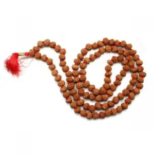 9 mukhi